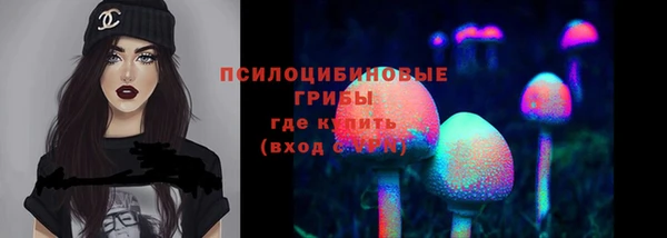 герыч Алзамай
