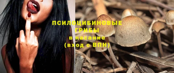 гидра Абаза