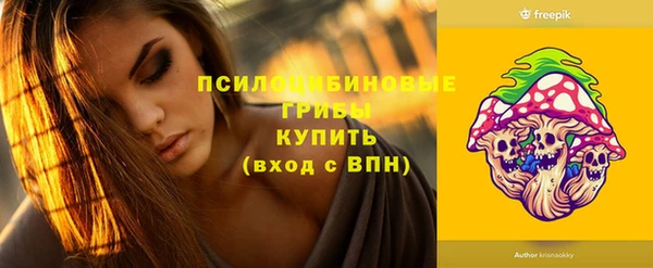 гидра Абаза